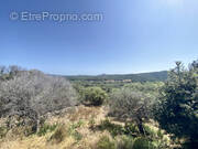 Maison à MONACIA-D&#039;AULLENE