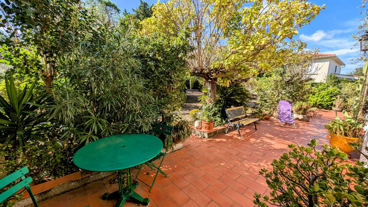 Autre à LAROQUE-DES-ALBERES