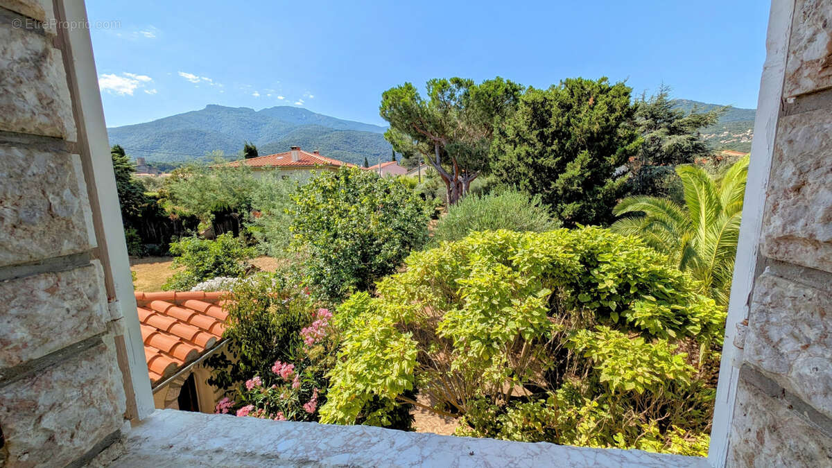 Autre à LAROQUE-DES-ALBERES