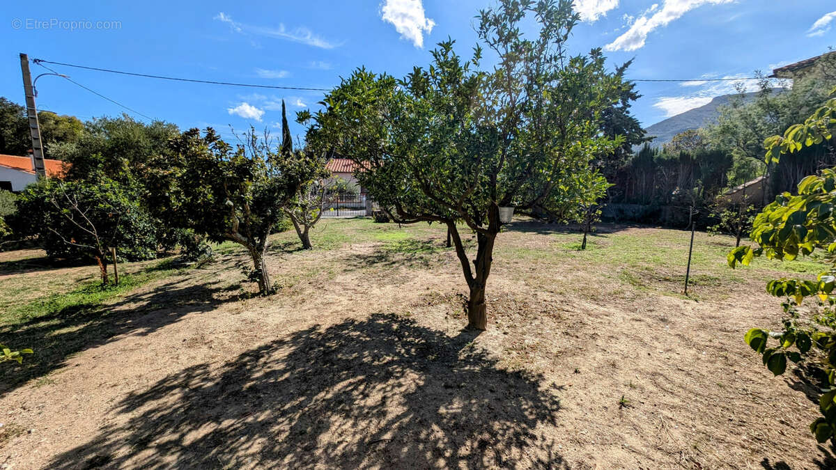 Autre à LAROQUE-DES-ALBERES