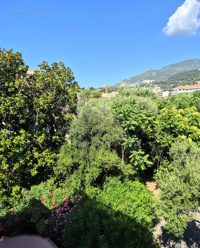 Appartement à ROQUEBRUNE-CAP-MARTIN