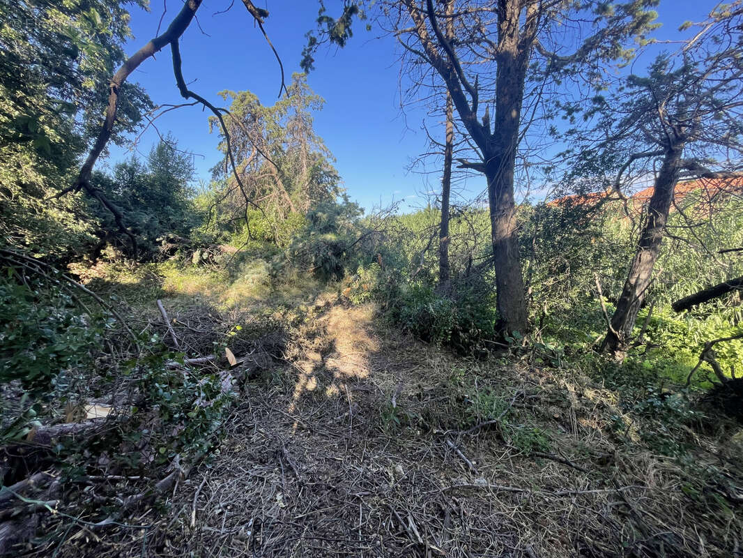 Terrain à ARGELES-SUR-MER