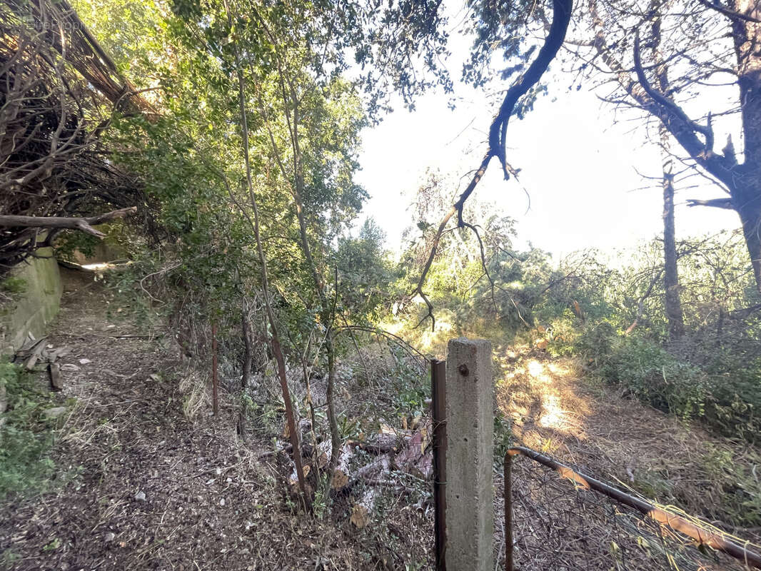 Terrain à ARGELES-SUR-MER