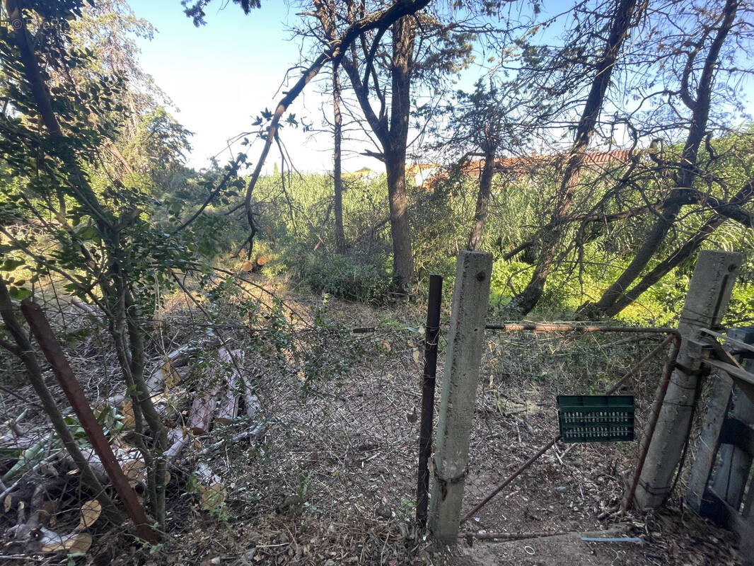 Terrain à ARGELES-SUR-MER