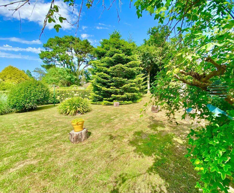 Maison à PLOUEZOC&#039;H