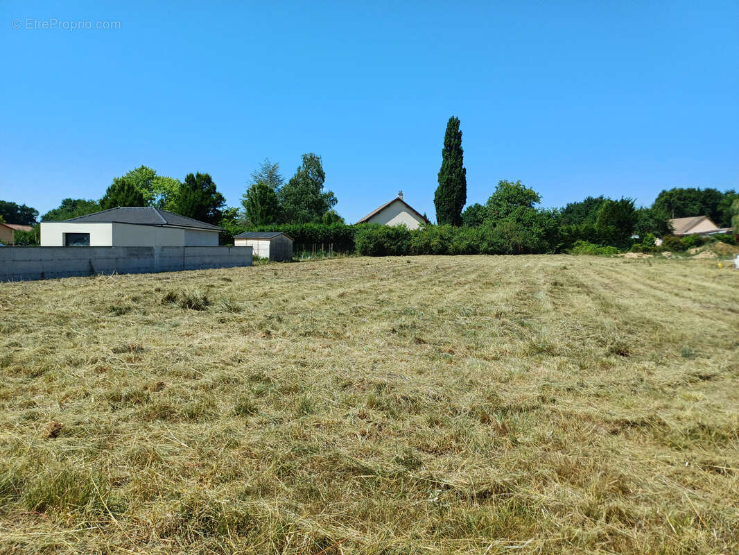Terrain à ESPINASSE-VOZELLE