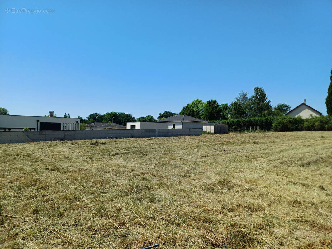 Terrain à ESPINASSE-VOZELLE