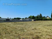 Terrain à ESPINASSE-VOZELLE