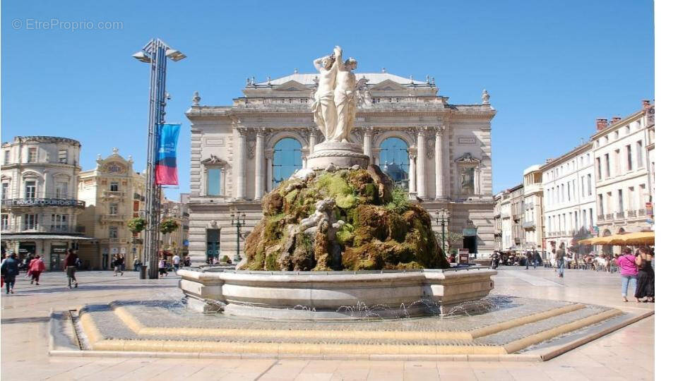 Commerce à MONTPELLIER