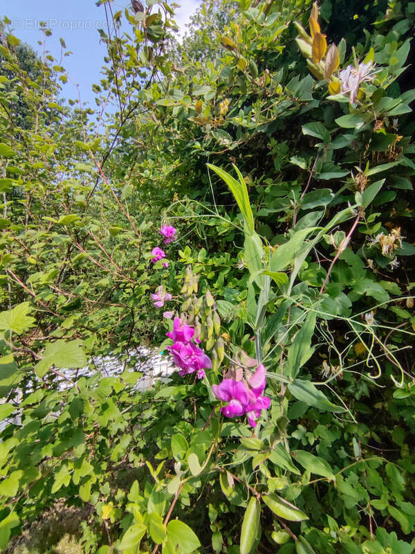 Maison à ROGNY-LES-SEPT-ECLUSES