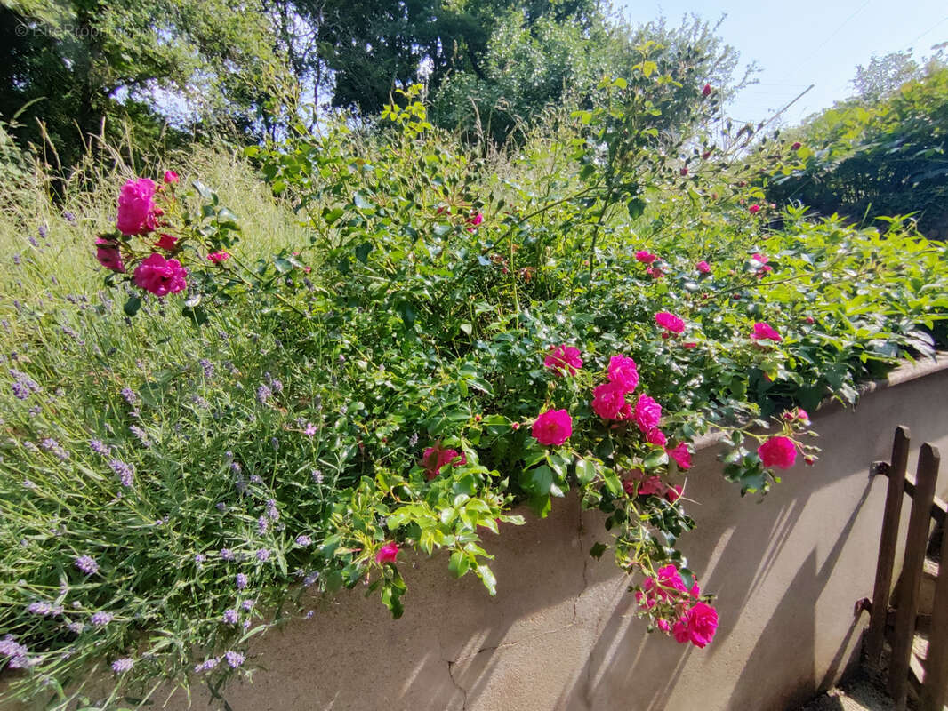 Maison à ROGNY-LES-SEPT-ECLUSES