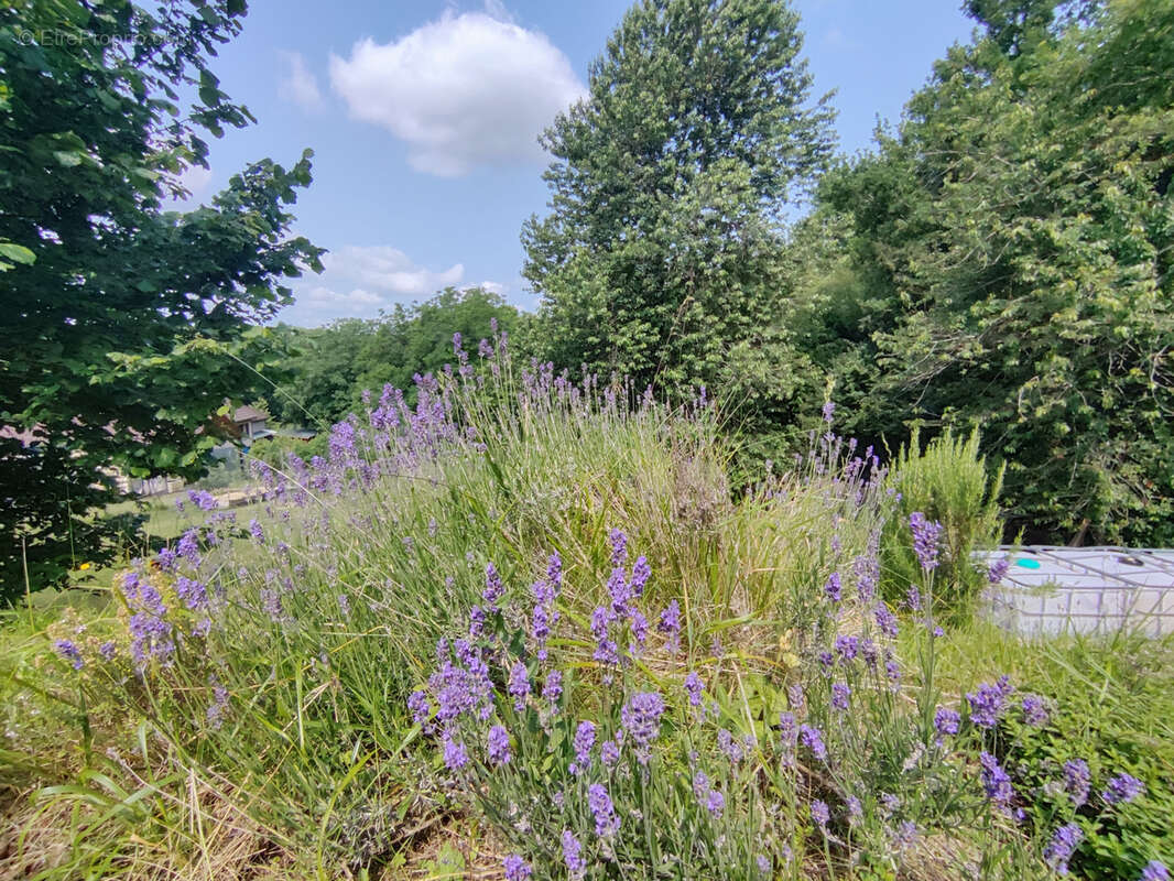 Maison à ROGNY-LES-SEPT-ECLUSES