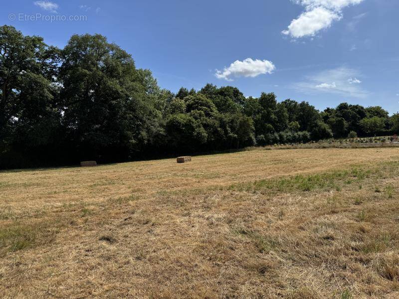 Terrain à CHATEAUBRIANT