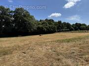 Terrain à CHATEAUBRIANT