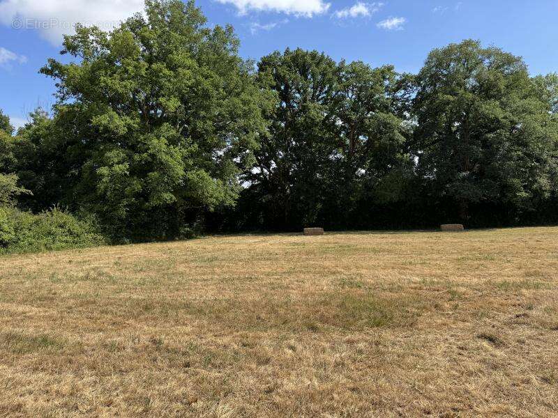 Terrain à CHATEAUBRIANT