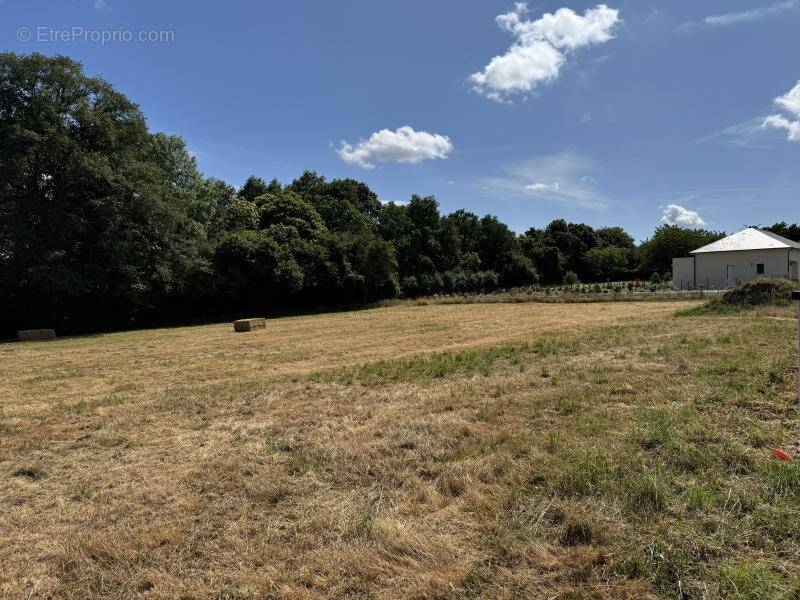 Terrain à CHATEAUBRIANT