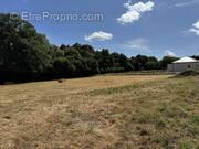 Terrain à CHATEAUBRIANT