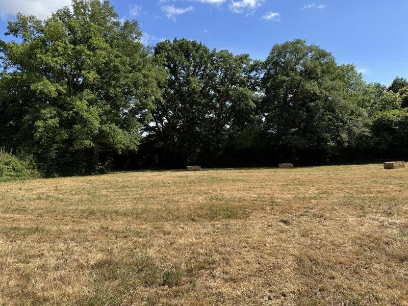 Terrain à CHATEAUBRIANT