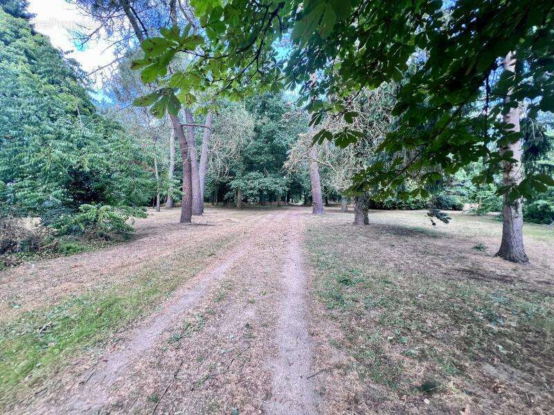 Appartement à OLIVET