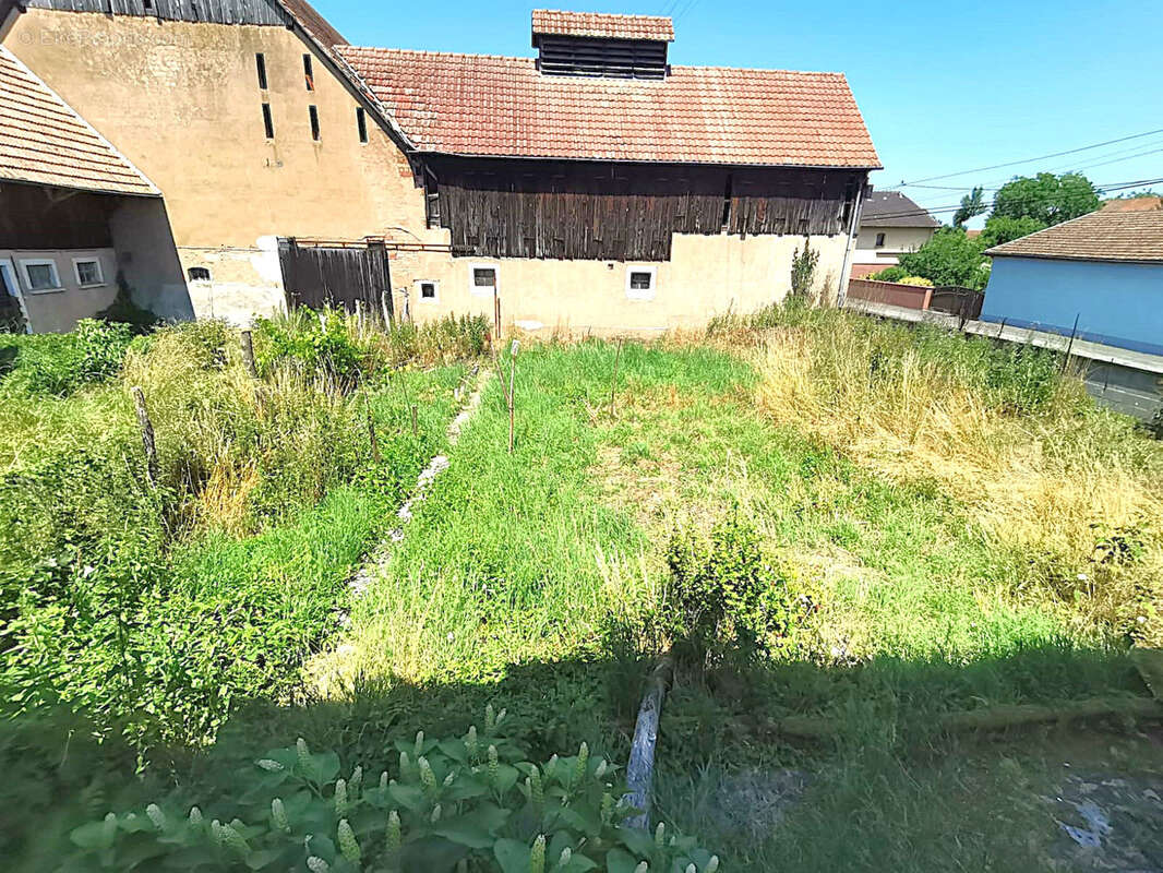Maison à BINDERNHEIM