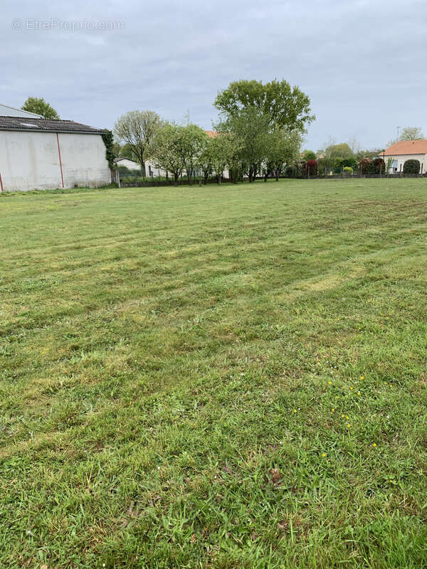 Terrain à SAINT-AMAND-SUR-SEVRE