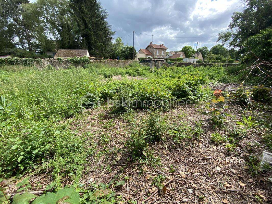 Terrain à VILLECONIN