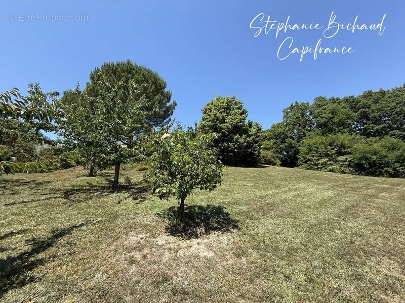 Maison à CHATEAUVIEUX