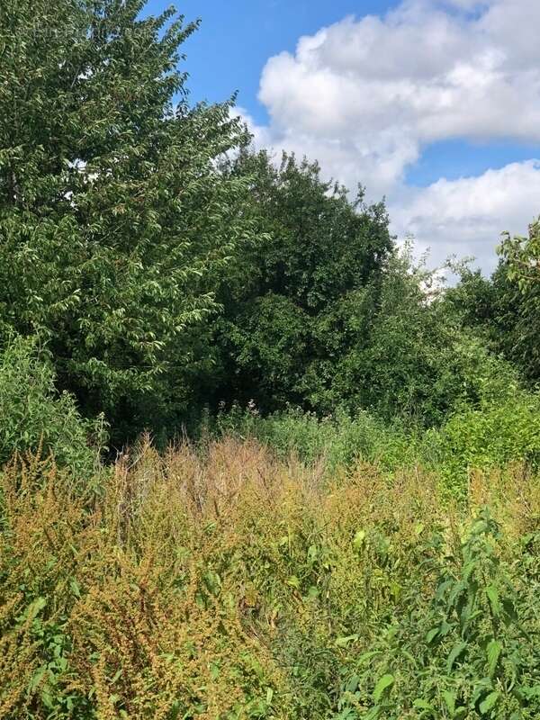 Maison à BRUILLE-LEZ-MARCHIENNES