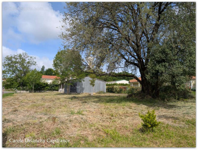 Maison à MIRAMONT-SENSACQ