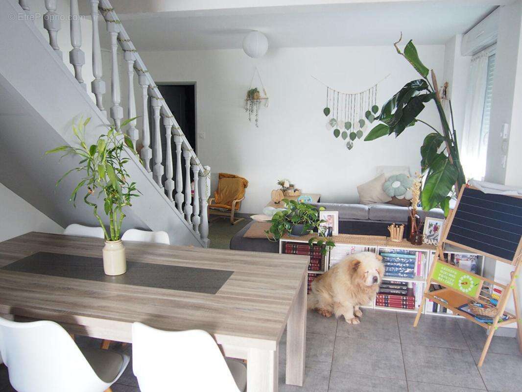 Maison à MONTCEAU-LES-MINES