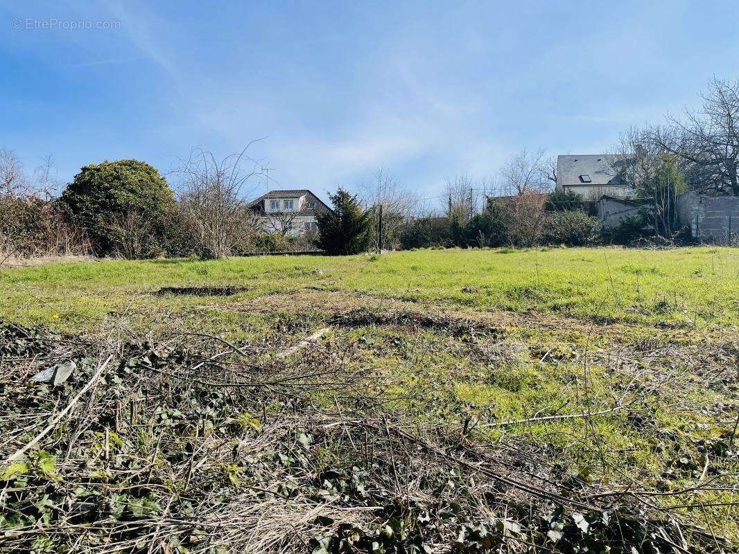 Terrain à DADONVILLE