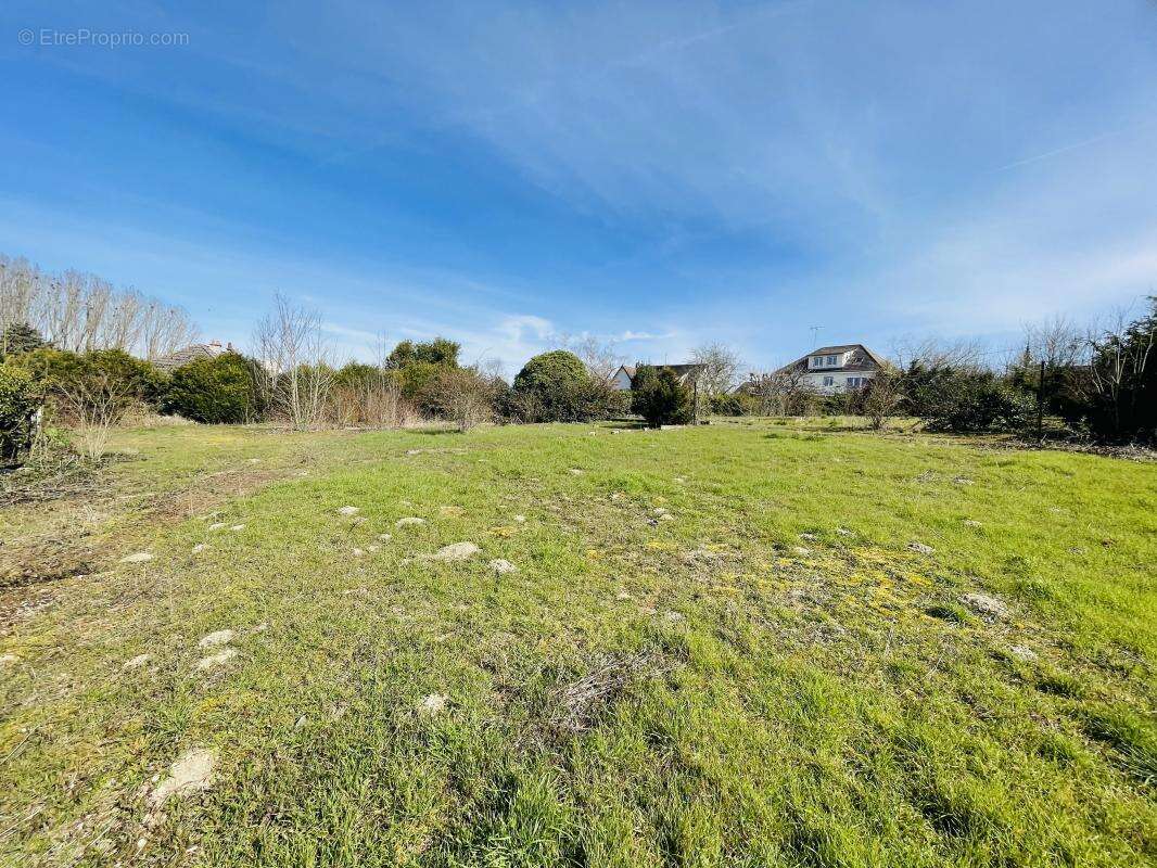 Terrain à DADONVILLE