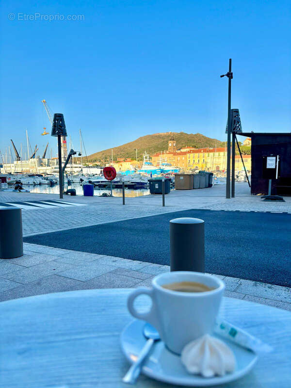 Terrain à PORT-VENDRES