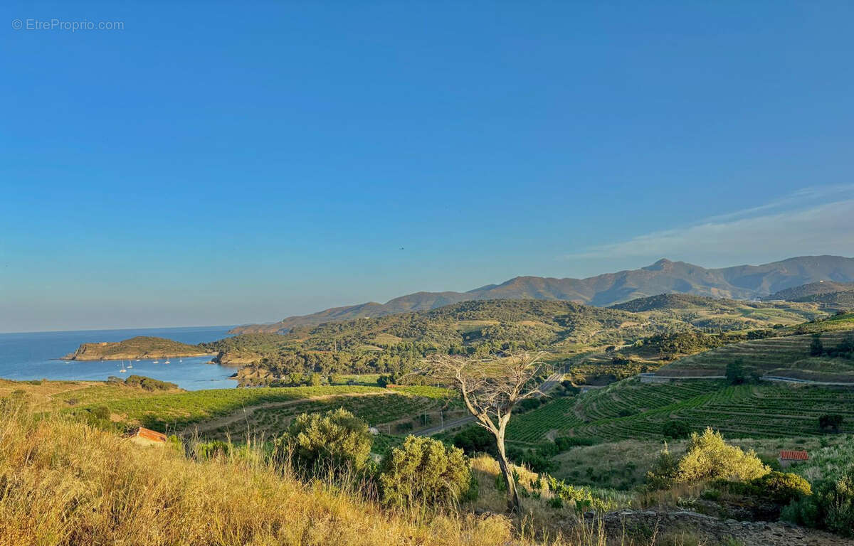 Terrain à PORT-VENDRES