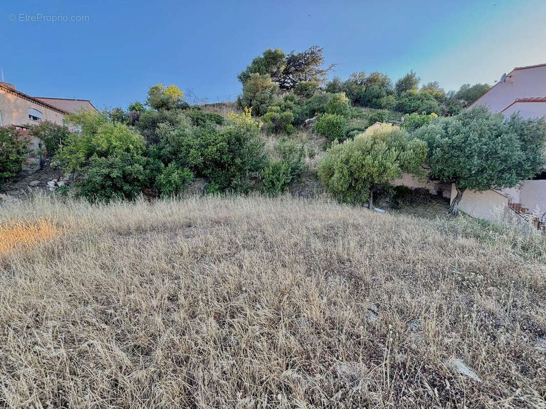 Terrain à PORT-VENDRES