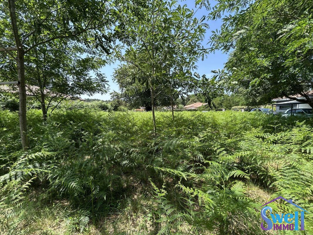 Terrain à MOLIETS-ET-MAA