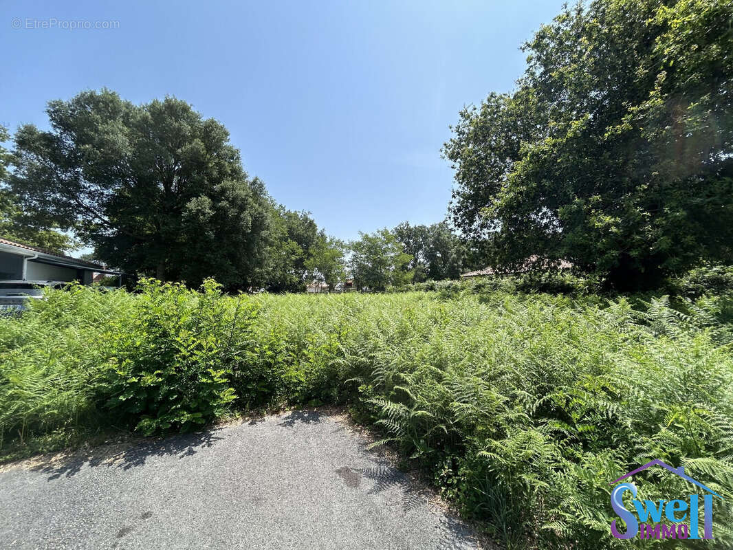 Terrain à MOLIETS-ET-MAA