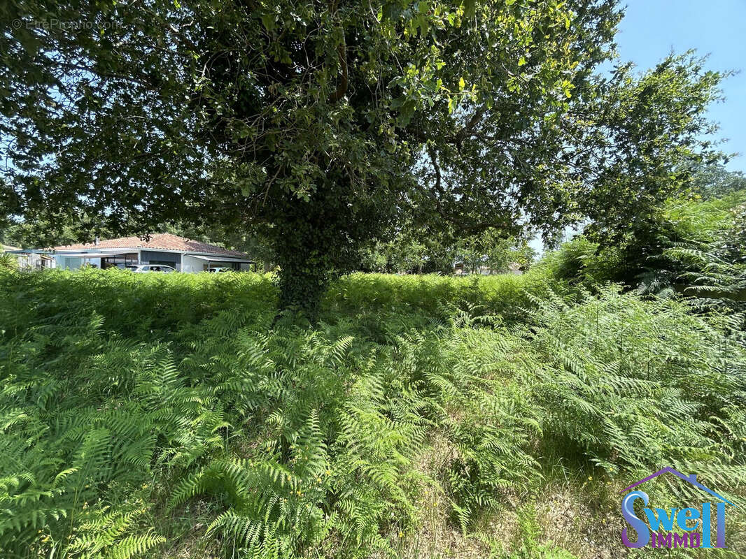 Terrain à MOLIETS-ET-MAA