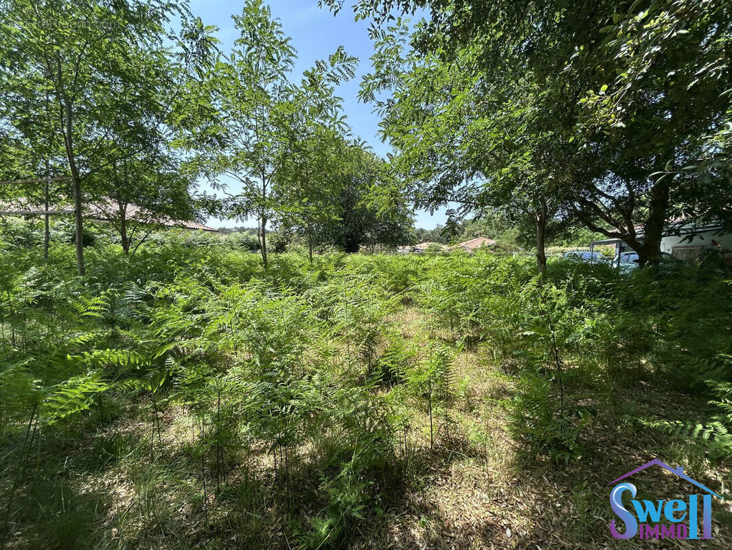 Terrain à MOLIETS-ET-MAA