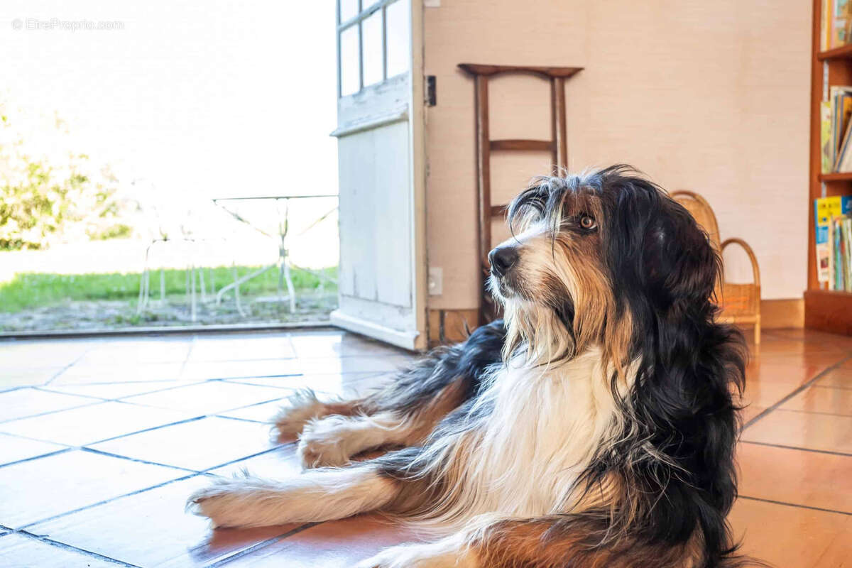 Maison à SAINT-SYLVESTRE-SUR-LOT
