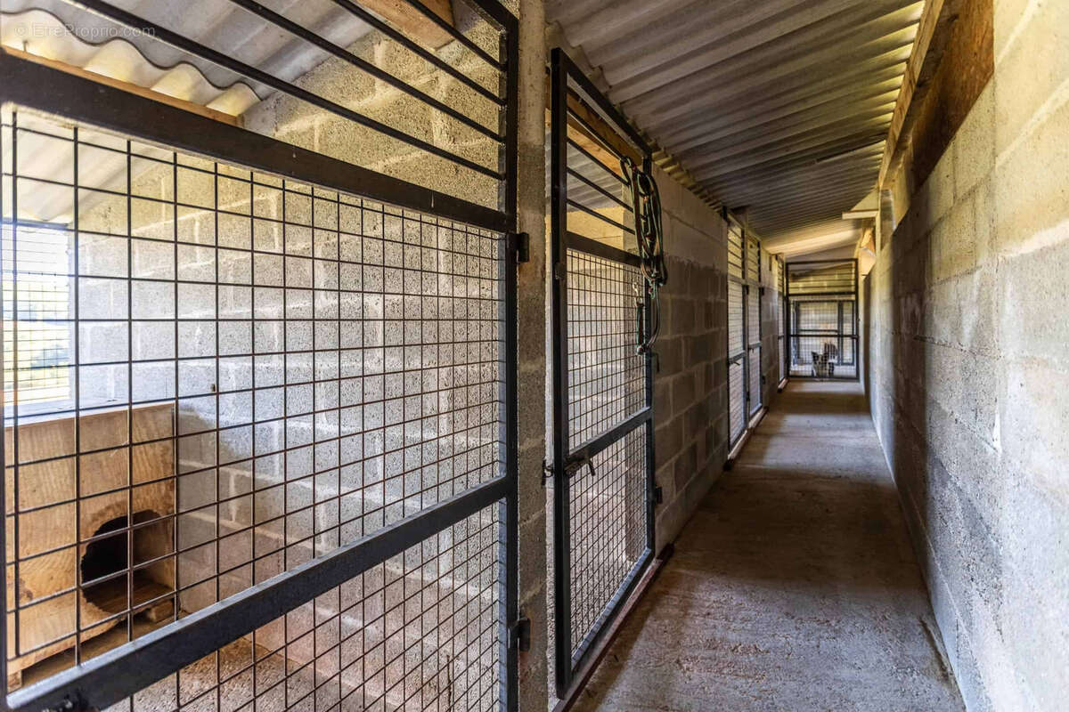 Maison à SAINT-ANTOINE-DE-FICALBA