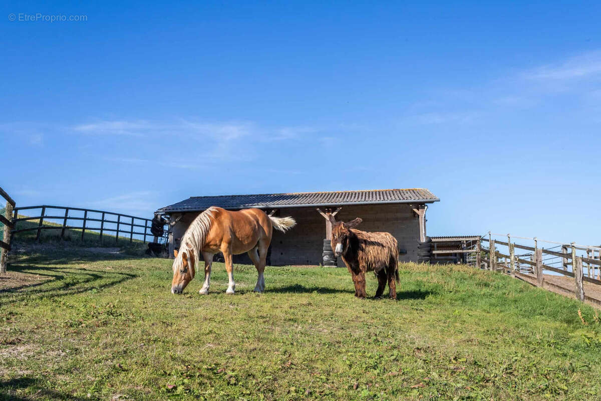 Maison à SAINT-ANTOINE-DE-FICALBA