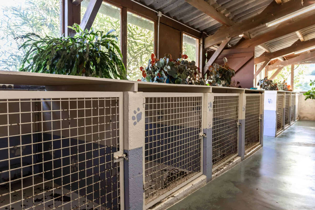 Maison à SAINT-ANTOINE-DE-FICALBA