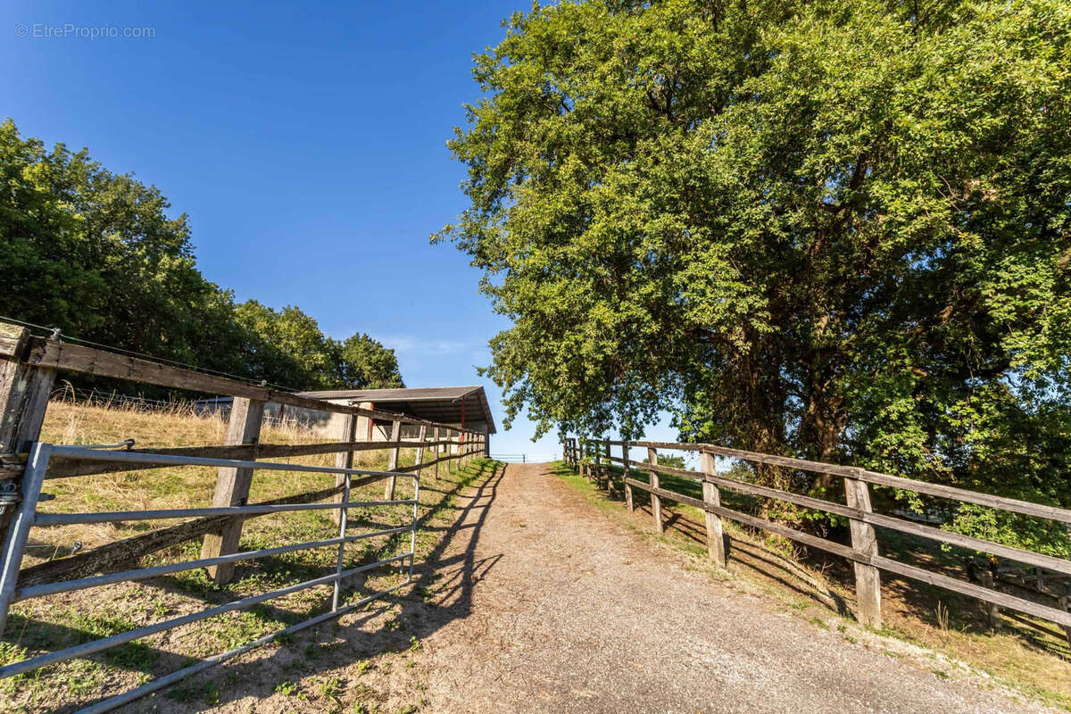 Maison à SAINT-ANTOINE-DE-FICALBA