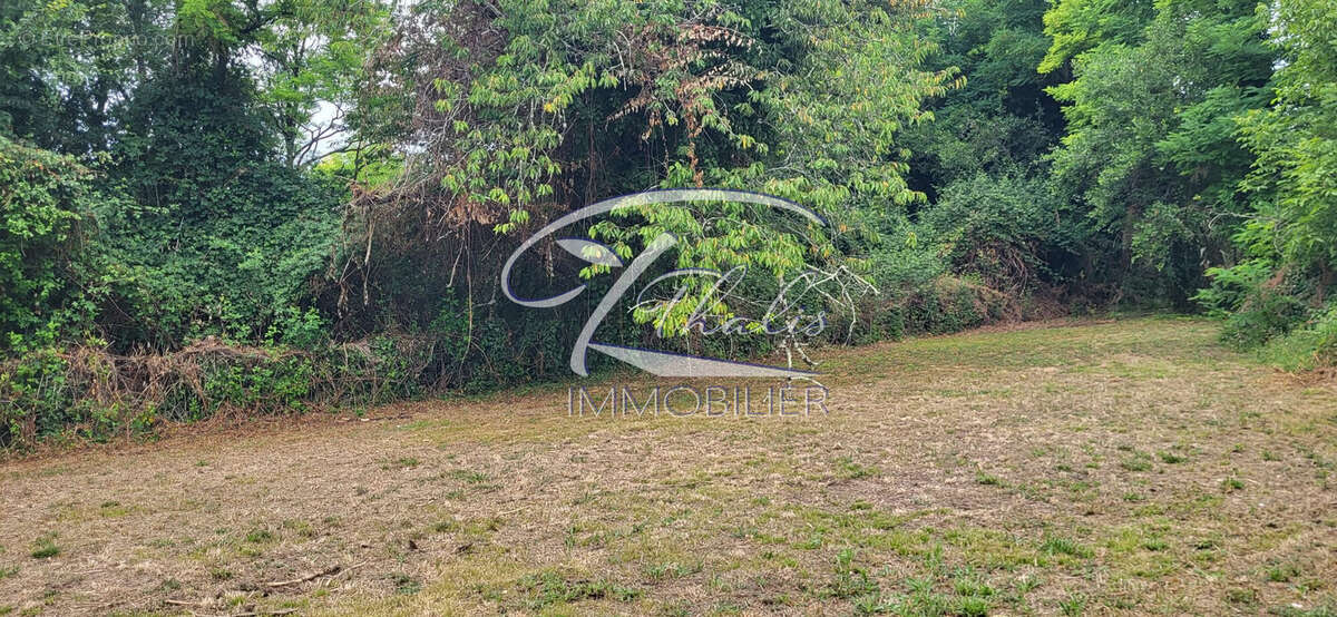 Terrain à SAINT-ROMAIN-LA-VIRVEE