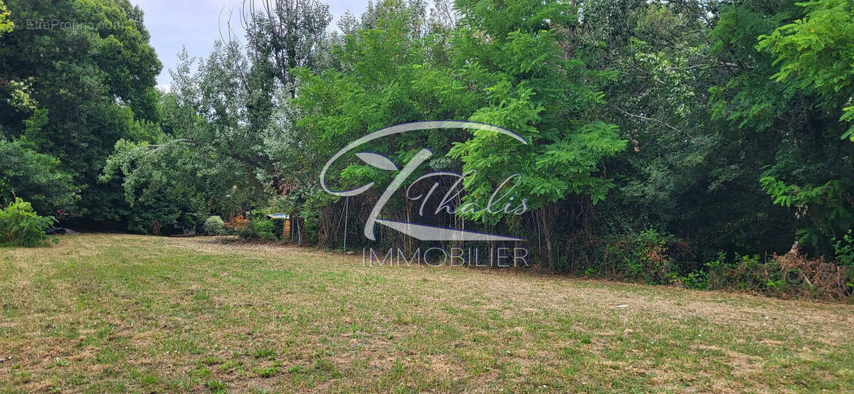 Terrain à SAINT-ROMAIN-LA-VIRVEE