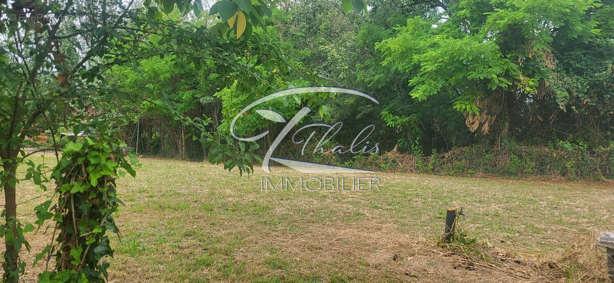 Terrain à SAINT-ROMAIN-LA-VIRVEE