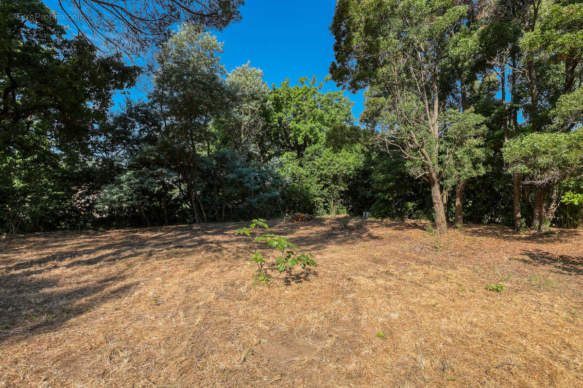 Terrain à SAINT-TROPEZ