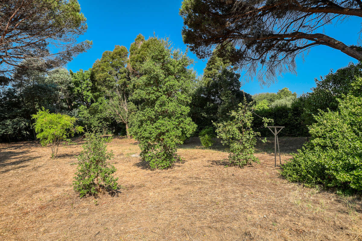 Terrain à SAINT-TROPEZ