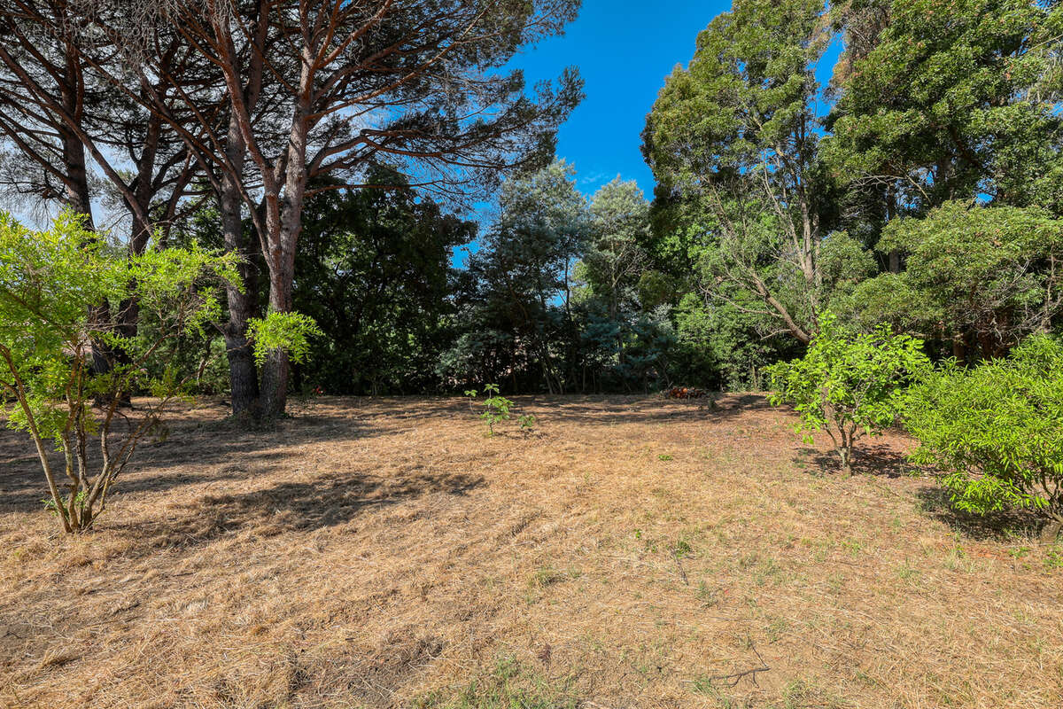 Terrain à SAINT-TROPEZ